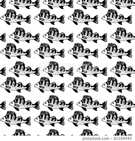 Seamless vector black pattern of ruff fish . 92104443