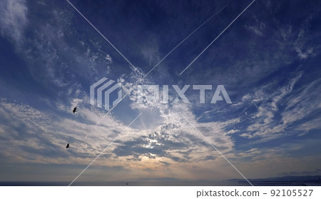 七夕的傍晚天空,220707pm,黑鳶在上層雲層蔓延的清爽夏日天空中翩翩起舞。 七夕的傍晚天空,220707pm,黑鳶在上層雲層蔓延的清爽夏日天空中翩翩起舞。 92105527
