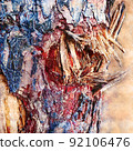 Tree trunk pine was damaged by shrapnel. Charred black bark. Closeup. Russia's invasion of the territory of Ukraine. Digital watercolor painting. Contemporary art. Canvas texture. 92106476