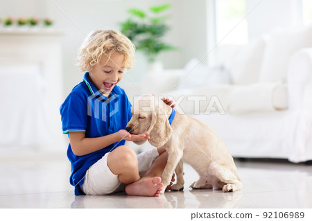Child playing with dog. Kids play with puppy. 92106989