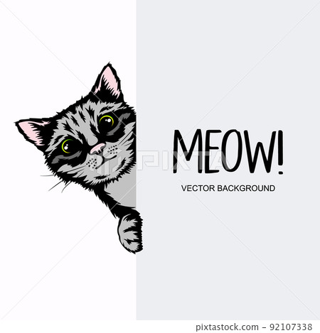 Vector Hand Drawm Striped Hiding Peeking Kitten. Tabby Kitten Head with Paws Up Peeking Over Blank White Placard, Poster, Card, Banner. Pet Kitten Curiously Peeking Behind White Background 92107338