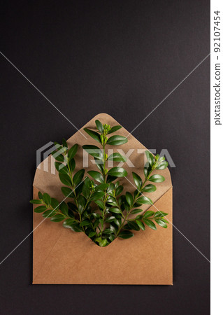 Branch with leaf in envelope on black paper background texture. Ecology concept Branch with leaf in envelope on black paper background texture. Ecology concept 92107454