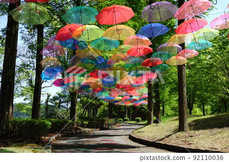 Umbrella Sky in Kanra Comprehensive Park 92110036
