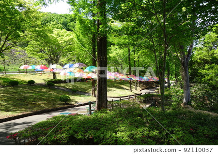 Umbrella Sky in Kanra Comprehensive Park Umbrella Sky in Kanra Comprehensive Park 92110037