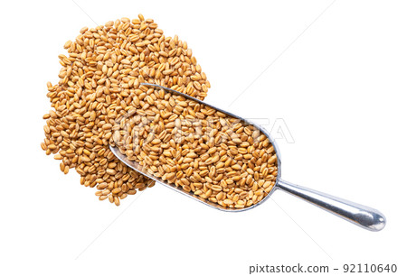 metal spoon or scoop with organic wheat isolated on white background top view. metal spoon or scoop with organic wheat isolated on white background top view. 92110640