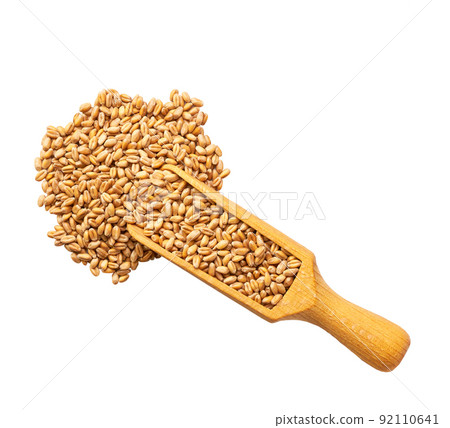 wooden spoon or scoop with organic wheat seen isolated on white background top view. wooden spoon or scoop with organic wheat seen isolated on white background top view. 92110641