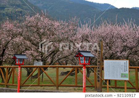 Fujikawa Tenjin's Wol Dragon Fujikawa Tenjin's Wol Dragon 92110917