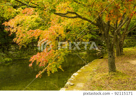 Autumn leaves on the grounds of Naejangsa Temple Autumn leaves on the grounds of Naejangsa Temple 92115171