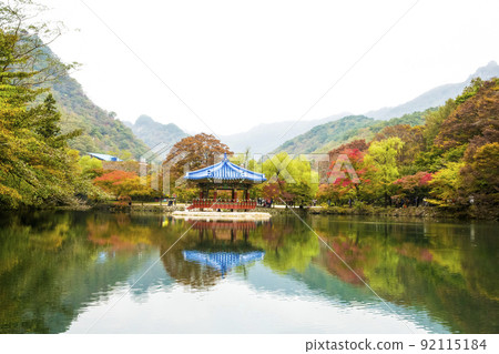 Autumn leaves on the grounds of Naejangsa Temple 92115184