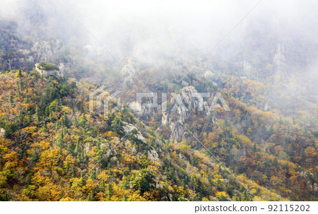 Mystical Clouds at the Dinosaur Ridge of Mt. Seorak Mystical Clouds at the Dinosaur Ridge of Mt. Seorak 92115202
