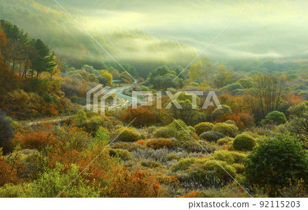 Autumn in the Secret Garden (Secret Garden) in Inje-gun, Gangwon-do Autumn in the Secret Garden (Secret Garden) in Inje-gun, Gangwon-do 92115203