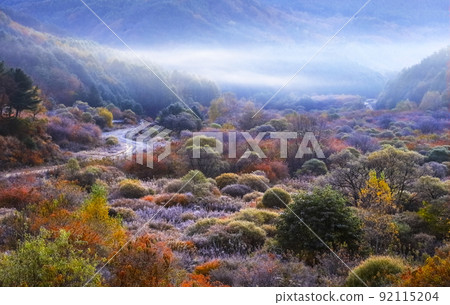 江原道仁濟郡秘密花園(秘密花園)的秋天 江原道仁濟郡秘密花園(秘密花園)的秋天 92115204