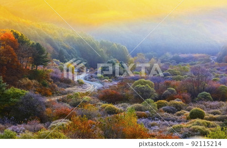 江原道仁濟郡秘密花園（秘密花園）的秋天 92115214