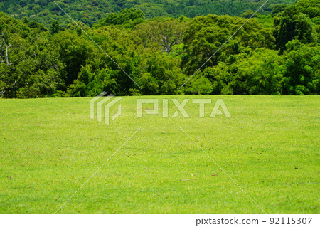 Forest and lawn open space background material, Nara Park Forest and lawn open space background material, Nara Park 92115307