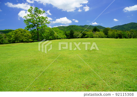 The day after the rainy season, refreshing Nara Park, Tobihino 92115308