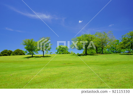 奈良公園、綠山、飛日野、雨季後的一天 92115330
