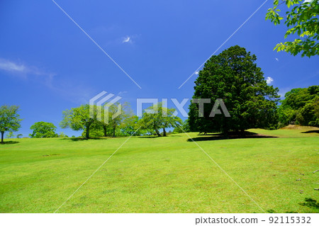 奈良公園、綠山、飛日野、雨季後的一天 92115332