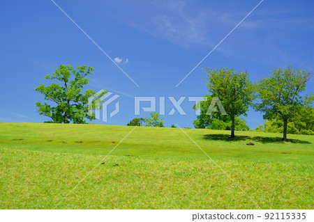 Nara Park, Green Hill, Tobihino, Day after the rainy season Nara Park, Green Hill, Tobihino, Day after the rainy season 92115335