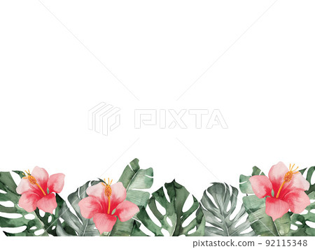 芙蓉和龜背竹度假村般的背景材料 芙蓉和龜背竹度假村般的背景材料 92115348