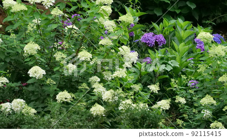 Ganghwa-do Jeondeungsa Temple 92115415