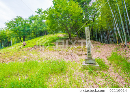 京都府向日市竹道寺戶大塚古墓 92116014