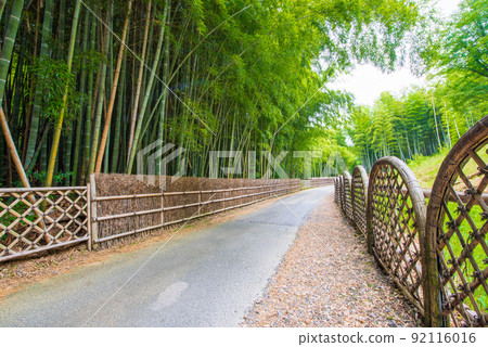 Muko City, Kyoto Prefecture Bamboo Path Kofungaki Muko City, Kyoto Prefecture Bamboo Path Kofungaki 92116016