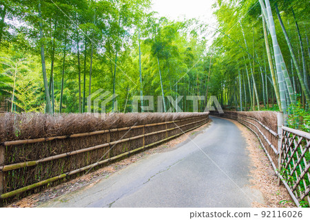 Muko City, Kyoto Prefecture Bamboo Path Takegaki and Bamboo Forest 92116026