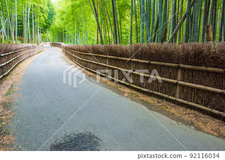 京都府向日市竹道竹垣和竹林 92116034