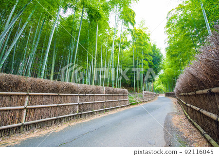 Muko City, Kyoto Prefecture Bamboo Path Takegaki and Bamboo Forest 92116045