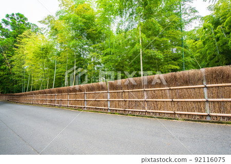 Muko City, Kyoto Prefecture Bamboo Path Takegaki and Bamboo Forest Muko City, Kyoto Prefecture Bamboo Path Takegaki and Bamboo Forest 92116075