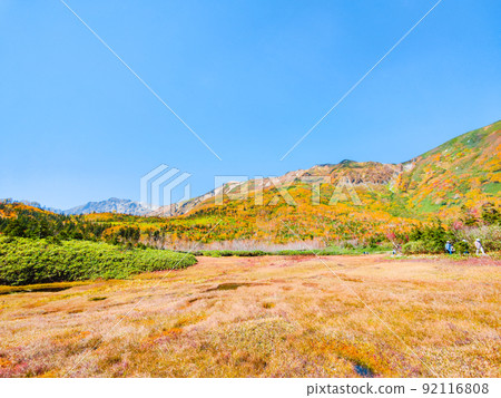 Tsugaike Nature Garden (Autumn) 92116808