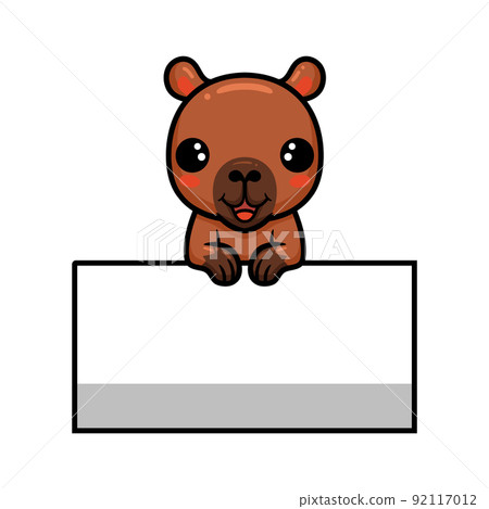 animal, board, capybara 92117012