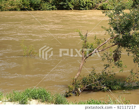 Scenery of the muddy stream of the Yahagi River 92117217