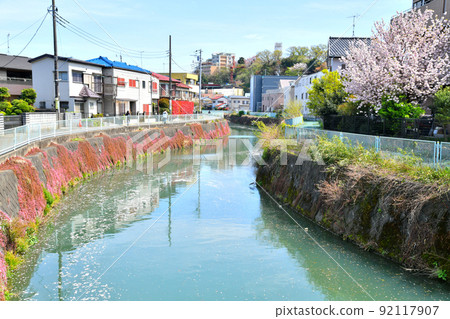 從高莊橋/二炮水路（久慈站附近）向下游望去（神奈川縣川崎市）[2022.4] 92117907