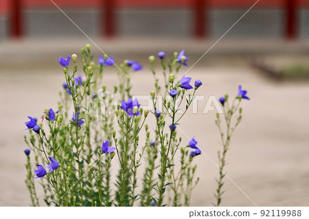 歷史遺跡，昌德宮 92119988