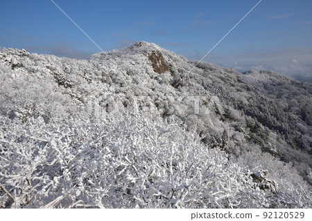 岡山的雪景從岡山南側的小山峰望向山頂 岡山的雪景從岡山南側的小山峰望向山頂 92120529