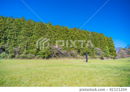 Matsushima, one of the three most scenic spots in Japan, the lawn of Matsu Park on the westbound route (Matsushima Town, Miyagi Prefecture) Matsushima, one of the three most scenic spots in Japan, the lawn of Matsu Park on the westbound route (Matsushima Town, Miyagi Prefecture) 92121204