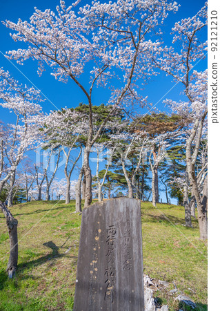 日本三大名勝之一的松島，松島公園櫻花藍天，歸來西去（宮城縣松島町） 92121210