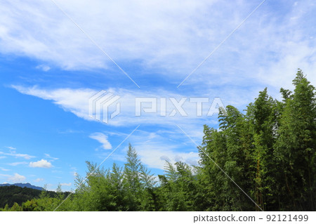 Blue sky clouds bamboo grove mountains 92121499