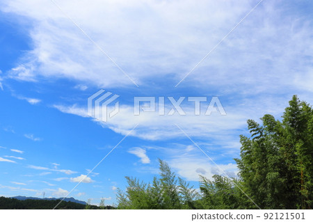 Blue sky clouds bamboo grove mountains 92121501