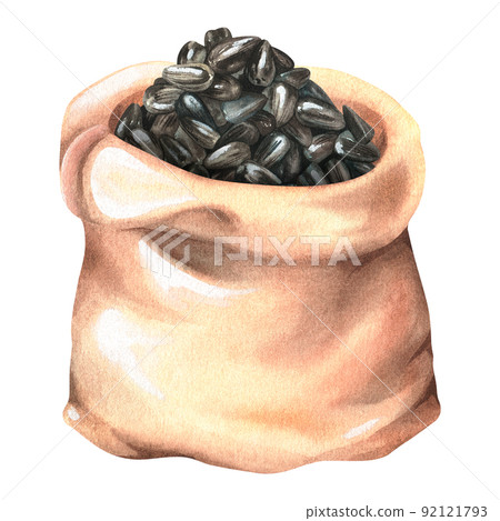 A bag of sunflower seeds. Watercolor illustration. Isolated on a white background. For design. A bag of sunflower seeds. Watercolor illustration. Isolated on a white background. For design. 92121793