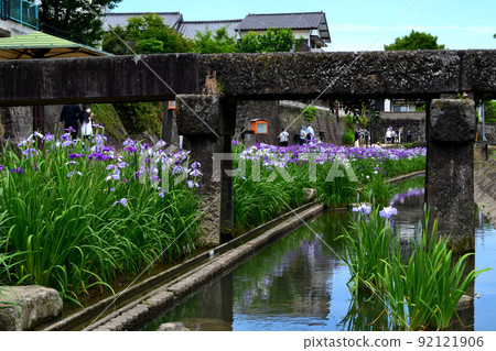高瀨浦川花菖蒲節 - 歷史悠久的石橋、石牆和花菖蒲的優雅景色 高瀨浦川花菖蒲節 - 歷史悠久的石橋、石牆和花菖蒲的優雅景色 92121906