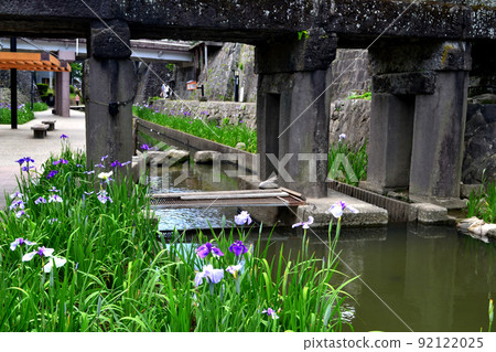 高瀨浦川花菖蒲節 - 歷史悠久的石橋、石牆和花菖蒲的優雅景色 高瀨浦川花菖蒲節 - 歷史悠久的石橋、石牆和花菖蒲的優雅景色 92122025