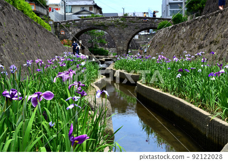 Takase Urakawa Iris Festival - Historic stone bridge, elegant scenery of stone walls and irises 92122028