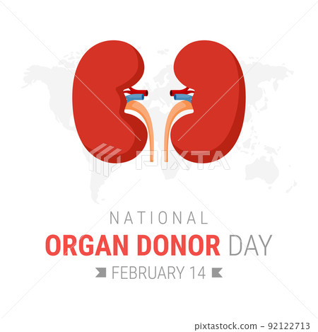 National organ donor day with Kidneys 92122713