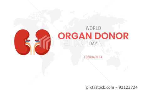 National organ donor day with Kidneys 92122724