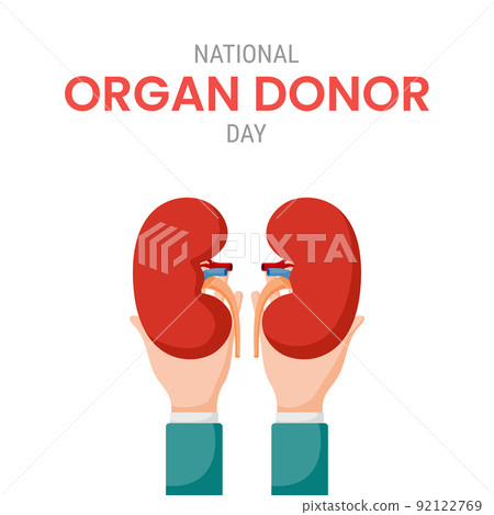 National organ donor day with Kidneys 92122769