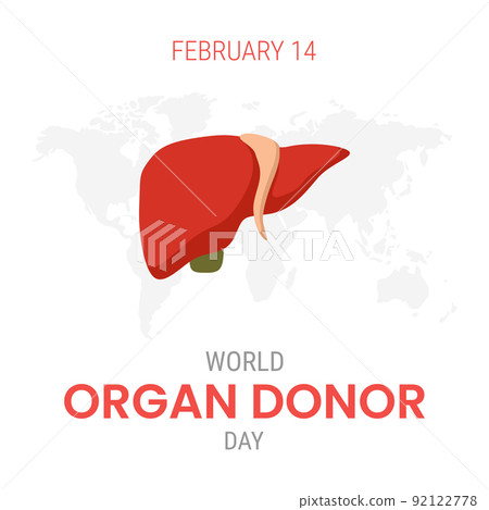 National organ donor day with Liver 92122778