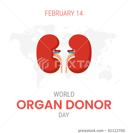 National organ donor day with Kidneys 92122780