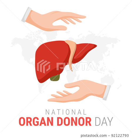 National organ donor day with Liver 92122793